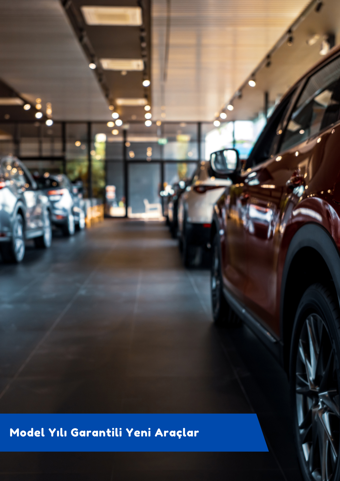 New Vehicles with Model Year Warranty